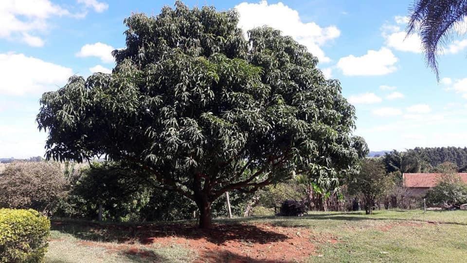 Вилла Sitio Em Atibaia - Sitio Beija-Flor Экстерьер фото
